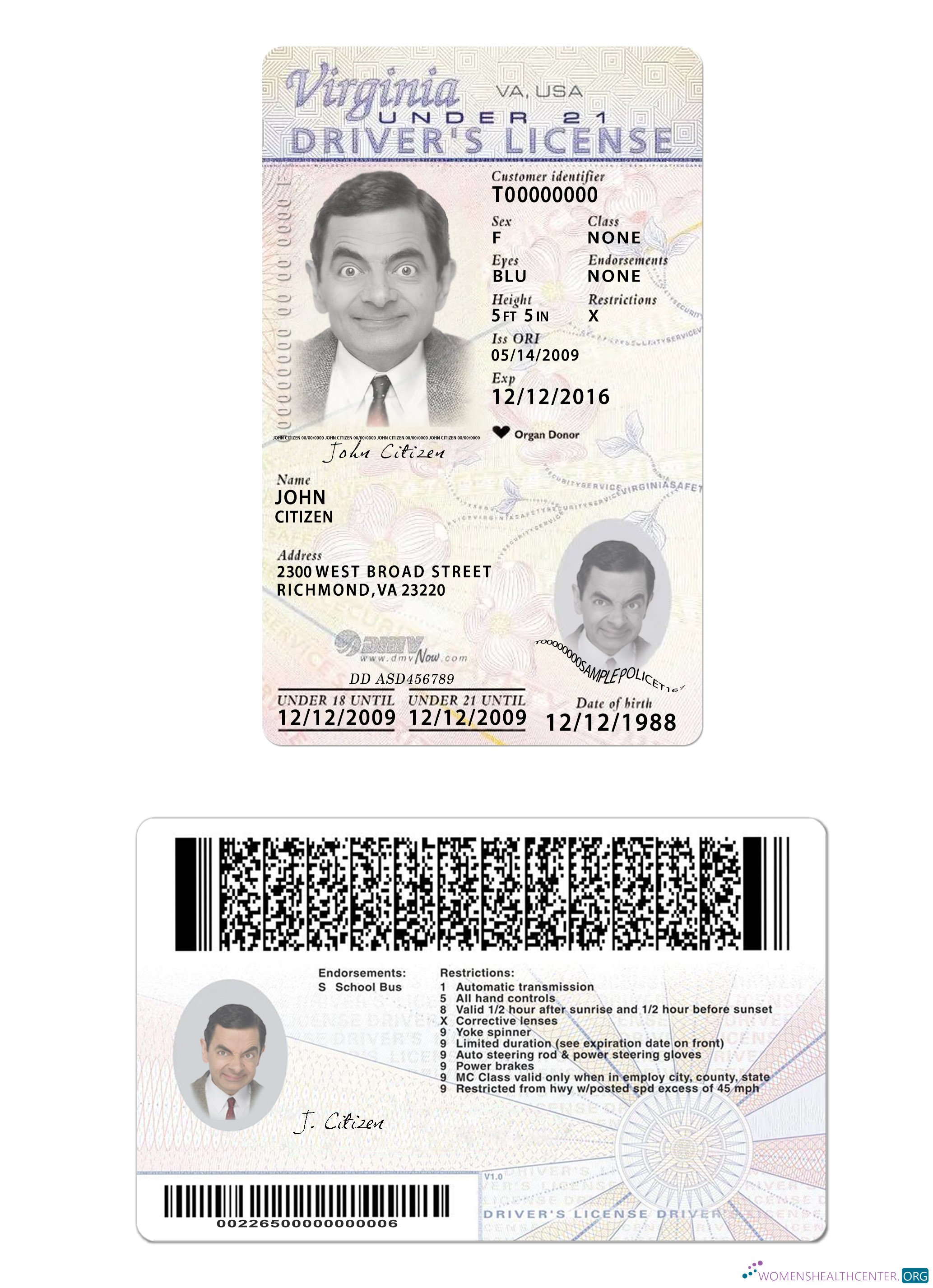 download USA Virginia driving license under 21 2009 present